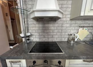 Сдам в аренду 2-ком. квартиру, 65 м2, Санкт-Петербург, 9-я Красноармейская улица