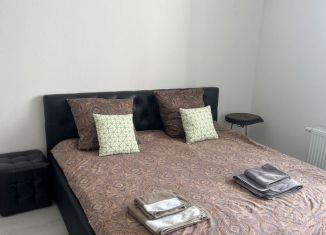 Продам квартиру студию, 29 м2, Санкт-Петербург, проспект Авиаконструкторов, ЖК Чистое Небо