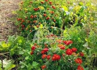 Продается дом, 32.6 м2, Пермский край, Молодёжная улица