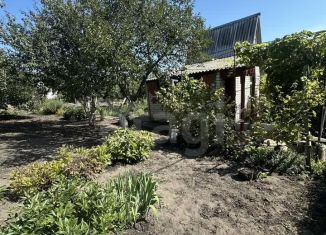 Продаю дачу, 25 м2, Белгородская область, СТ Берёзка, 138