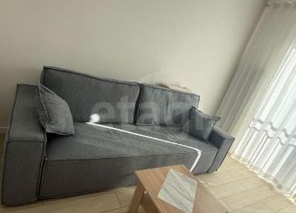 Сдается 1-ком. квартира, 37 м2, Новосибирск, улица Декабристов, 41, Октябрьский район