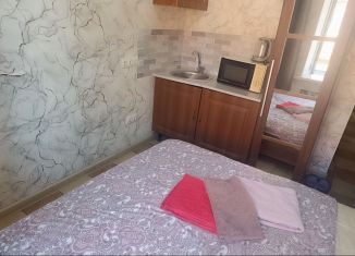 Сдается в аренду квартира студия, 18 м2, Санкт-Петербург, Старо-Петергофский проспект, 26В