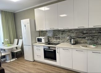 Сдается в аренду квартира студия, 47 м2, Новосибирск, улица Сибревкома, 9, Октябрьский район