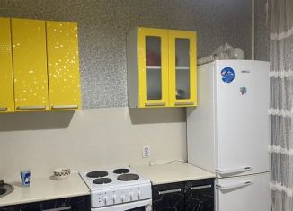 Сдам однокомнатную квартиру, 37.9 м2, Курская область, улица Домостроителей, 6