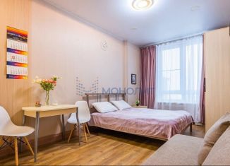 Продажа квартиры студии, 25 м2, Нижний Новгород, улица Максима Горького, 23А