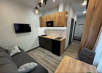 Продается квартира студия, 15.2 м2, Москва, Мажоров переулок, 4, ВАО