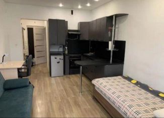 Квартира на продажу студия, 28 м2, Иркутская область, переулок Археолога Михаила Герасимова, 4