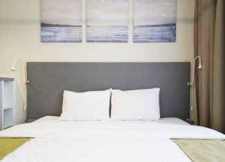 Квартира в аренду студия, 25 м2, Санкт-Петербург, Витебский проспект, 101к1