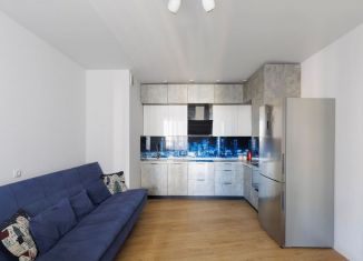 Продаю 1-комнатную квартиру, 48.9 м2, Кудрово, Областная улица, 9к1