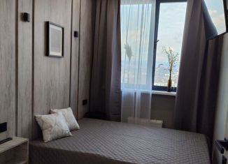 Сдам в аренду 1-комнатную квартиру, 25 м2, Сочи, Ясногорская улица, 16/2к1