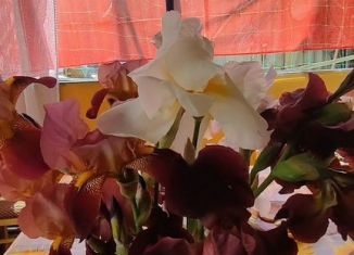 Продаю дачу, 30 м2, СНТ Якорь-1