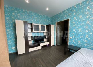 Сдаю однокомнатную квартиру, 32 м2, Новосибирск, улица Михаила Кулагина, 35, Октябрьский район