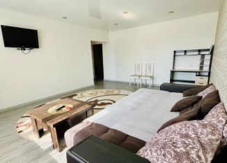 Сдача в аренду двухкомнатной квартиры, 58 м2, Новосибирск, Плющихинская улица, 3, Октябрьский район