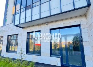 Сдам в аренду торговую площадь, 33 м2, Ленинградская область, Петровский бульвар, 28