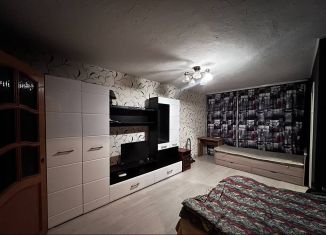 Сдам в аренду 2-комнатную квартиру, 42 м2, Волхов, Молодёжная улица, 16А