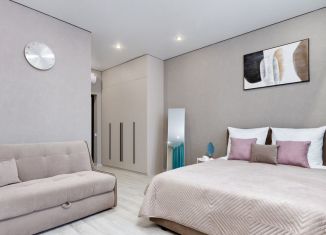 Квартира в аренду студия, 28 м2, Новосибирск, улица Фрунзе, 220, Дзержинский район