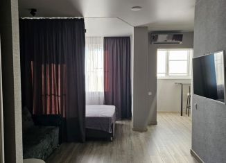 Однокомнатная квартира в аренду, 32 м2, Ростов-на-Дону, улица 26-я Линия, 35/1