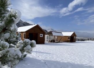 Сдам дом, 21 м2, Республика Алтай, территория Урочище Карбан, 1