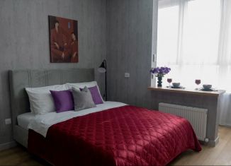 Сдается в аренду квартира студия, 25 м2, Майкоп, улица К.А. Васильева, 1