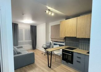 Сдается в аренду 1-ком. квартира, 41 м2, Кудрово, Центральная улица, 30к2