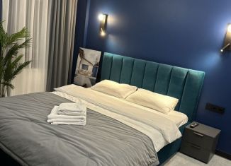 Сдается в аренду квартира студия, 23 м2, Санкт-Петербург, Тележная улица, 29Г