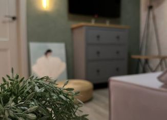 Сдача в аренду 1-ком. квартиры, 40 м2, Тверь, улица Скворцова-Степанова, 40