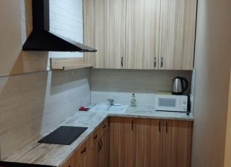 Аренда 1-комнатной квартиры, 45 м2, Мурино, Екатерининская улица, 2, ЖК Виктория