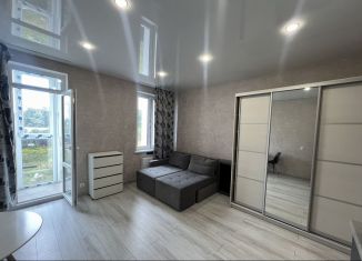 Продажа квартиры студии, 29 м2, Тульская область, Пряничная улица, 4