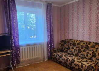 Сдается 1-комнатная квартира, 30 м2, Брянск, Ново-Дзержинский проезд, 45