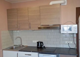 Сдаю квартиру студию, 24 м2, Мурино, Екатерининская улица, 17