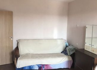 Сдается 1-ком. квартира, 31 м2, Ломоносов, Швейцарская улица, 8к1