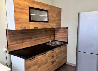 Сдача в аренду 1-ком. квартиры, 42 м2, Пермь, улица Лизы Чайкиной, 28