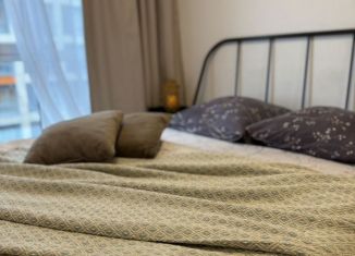 Сдается в аренду квартира студия, 25 м2, посёлок Парголово, Толубеевский проезд, 8к2