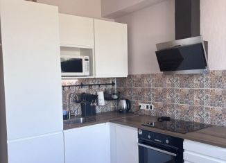 Сдача в аренду двухкомнатной квартиры, 50 м2, Мурино, Воронцовский бульвар, 10