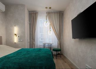 Квартира в аренду студия, 18 м2, Сочи, Ясногорская улица, 16/8к2