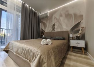 Сдам квартиру студию, 38 м2, Новосибирск, Московская улица, 75, Октябрьский район