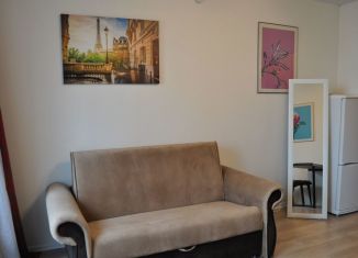 Сдается квартира студия, 20 м2, Котельники, микрорайон Парковый, 1к1