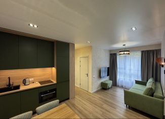 Сдам 1-ком. квартиру, 35 м2, Сочи, Пластунская улица, 104Бк1, микрорайон Заречный