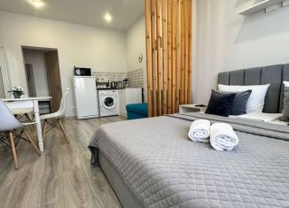 Сдаю в аренду квартиру студию, 35 м2, Ессентуки, улица Нелюбина, 25/1