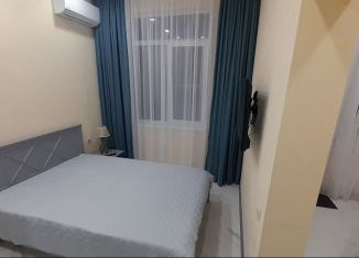 Сдам 1-комнатную квартиру, 22 м2, Сочи, Бакинская улица, 12/2