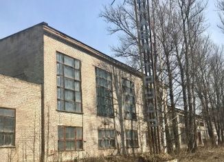 Сдаю в аренду производство, 3000 м2, Ленинградская область, Заводская улица, 3к166