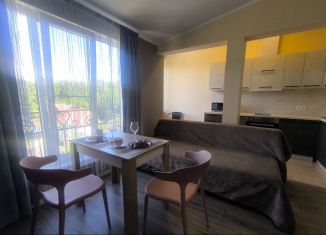 Сдаю однокомнатную квартиру, 52 м2, Сочи, Лесная улица, 6/11Б