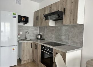 Сдаю в аренду 1-ком. квартиру, 32 м2, деревня Новое Девяткино, Главная улица, 8