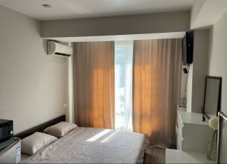 Сдаю квартиру студию, 21 м2, посёлок городского типа Дагомыс, Батумское шоссе, 69/5