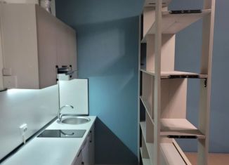 Продам квартиру студию, 24 м2, Санкт-Петербург, улица Владимира Пчелинцева, 6к1, ЖК Солнечный Город. Резиденции