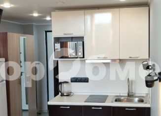 Сдается 1-комнатная квартира, 25 м2, Москва, Байкальская улица, 13