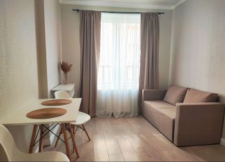 Продается 1-ком. квартира, 34.8 м2, Горячий Ключ, Рябиновая улица, 2Вк1