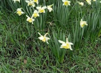 Продам земельный участок, 12 сот., Ставрополь, садовое товарищество Авиатор-1, 6