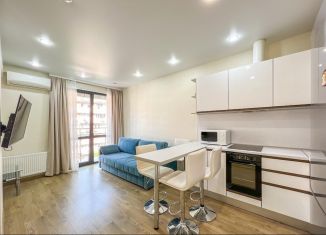 Квартира в аренду студия, 20 м2, Сочи, переулок Горького, 24, микрорайон Центральный