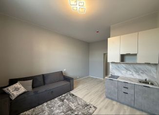 Продается квартира студия, 24.3 м2, Новосибирск, улица Богдана Хмельницкого, 96/3